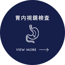 胃内視鏡検査